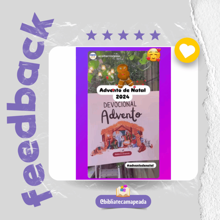 Feedback 24